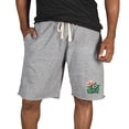 thumbnail image 1 of Men's Concepts Sport Gray Dallas Stars Mainstream Tri-Blend Shorts, 1 of 1