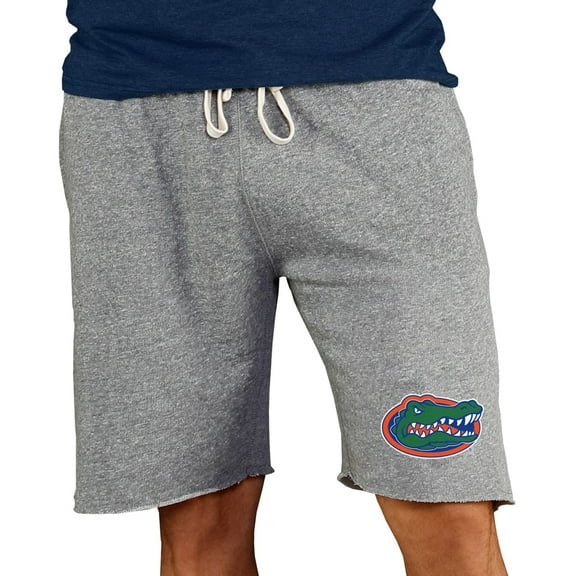 Men's Concepts Sport Gray Florida Gators Mainstream Terry Shorts