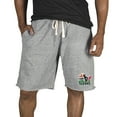 thumbnail image 1 of Men's Concepts Sport Gray Houston Texans Mainstream Tri-Blend Shorts, 1 of 1