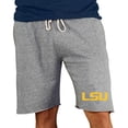 thumbnail image 1 of Men's Concepts Sport Gray LSU Tigers Mainstream Terry Shorts, 1 of 1