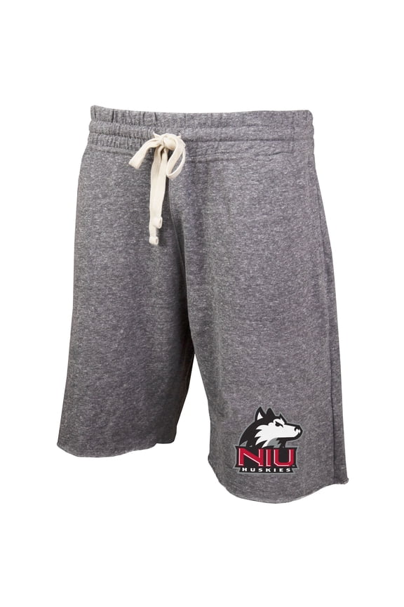 Men's Concepts Sport Gray Northern Illinois Huskies Mainstream Terry Shorts