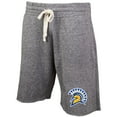 thumbnail image 1 of Men's Concepts Sport Gray San Jose State Spartans Mainstream Terry Shorts, 1 of 1