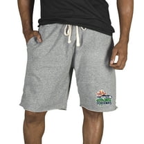 Men's Concepts Sport Gray Seattle Seahawks Mainstream Tri-Blend Shorts