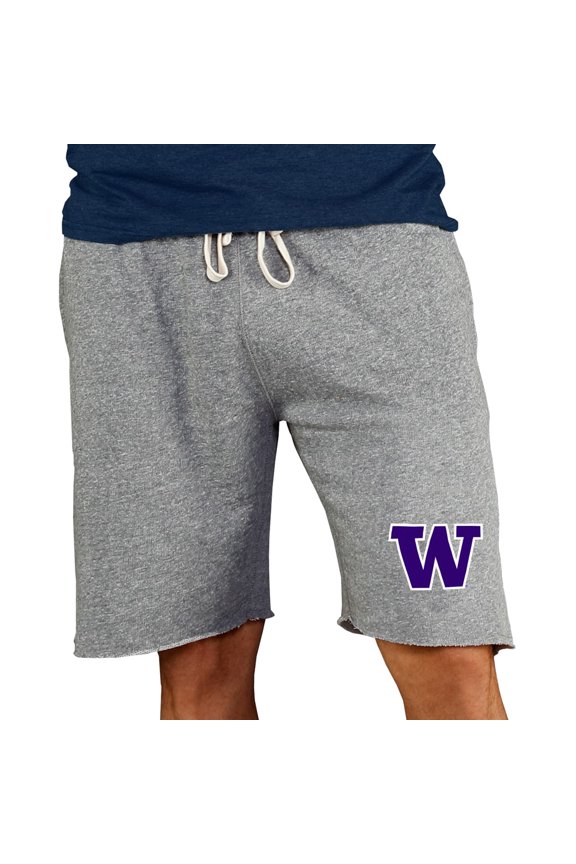 Men's Concepts Sport Gray Washington Huskies Mainstream Terry Shorts