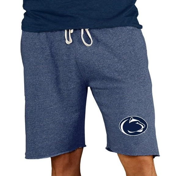 Men's Concepts Sport Navy Penn State Nittany Lions Mainstream Terry Shorts
