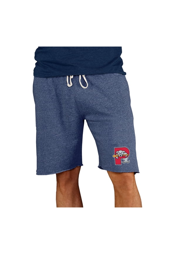 Men's Concepts Sport Navy Portland Sea Dogs Mainstream Tri-Blend Shorts