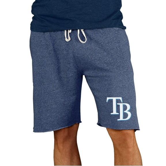 Men's Concepts Sport Navy Tampa Bay Rays Mainstream Terry Shorts