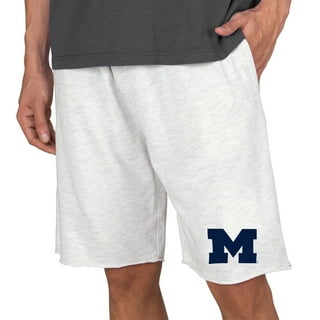 Men's Concepts Sport Navy Michigan Wolverines Mainstream Terry Pants