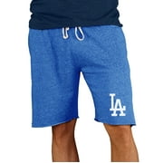 Men's Concepts Sport Royal Los Angeles Dodgers Mainstream Terry Shorts