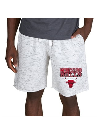  NBA Youth 8-20 Hardwood Classic Official Swingman Shorts (Youth  - Small, Chicago Bulls Red) : Sports & Outdoors