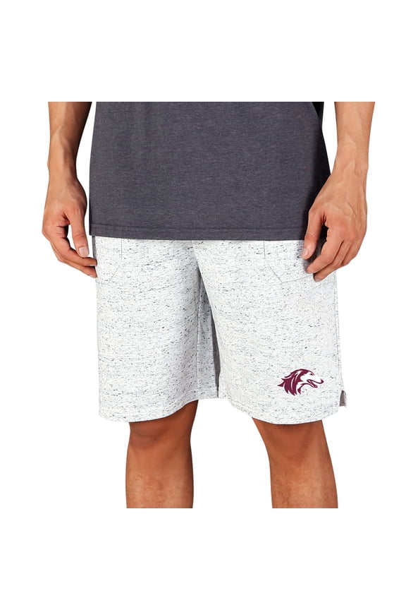 Men's Concepts Sport White/Charcoal Southern Illinois Salukis Throttle Knit Jam Shorts