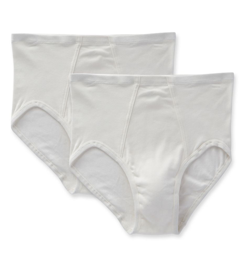 Regular cut briefs in a pack of 2 PURE NATURE made from pure organic cotton  5487182