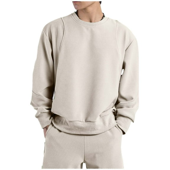Men's Crew Neck Sweatshirts Casual Stylish Long Sleeve Solid Color Sweatshirts 2025 Fall Winter Trendy Outfits (M, Beige)
