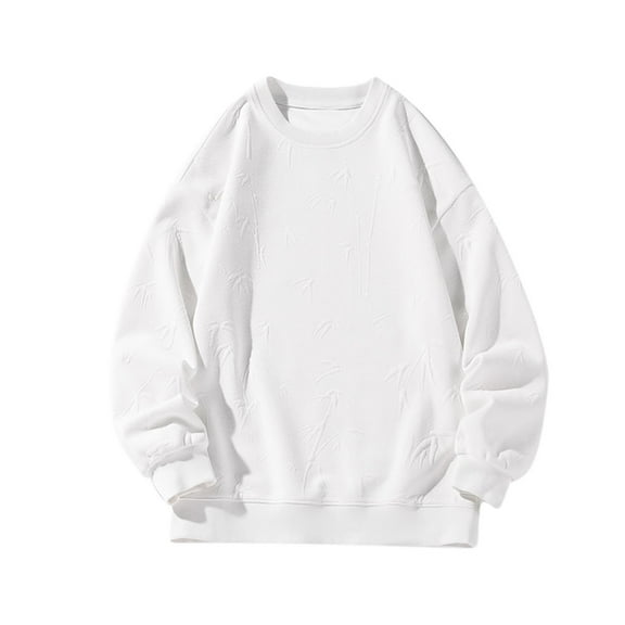 Men's Crewneck Sweatshirts Loose Fit Cotton Long Sleeve Pullover Tops Casual Basic Winter Solid Color Sweater for Men (White L)