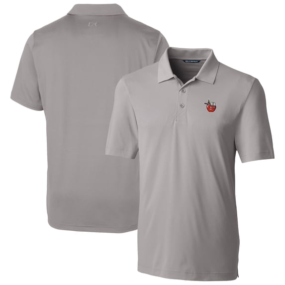 Men's Cutter & Buck Gray Fort Wayne TinCaps Big & Tall DryTec Forge Stretch Polo