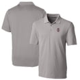thumbnail image 1 of Men's Cutter & Buck Gray Southern Illinois Salukis Big & Tall Forge Stretch Polo, 1 of 3