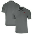 thumbnail image 1 of Men's Cutter & Buck Gray Winston-Salem State Rams Big & Tall Forge Eco Stretch Recycled Polo, 1 of 3