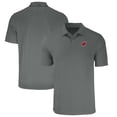 thumbnail image 1 of Men's Cutter & Buck Gray Wisconsin Badgers Big & Tall Forge Eco Stretch Recycled Polo, 1 of 3