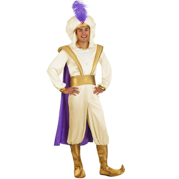 Men's Disney Aladdin Prince Ali Costume