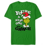 DR. SEUSS' THE GRINCH Men's Dr. Seuss Christmas Grinch You're a Mean One Portrait Graphic T-Shirt