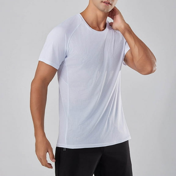 Men's Dry Fit T Shirts Short Sleeve Crewneck Tops Breathable Cooling Comfort Casual Tee for Gym Workout Summer Everyday Shits