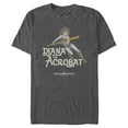 thumbnail image 1 of Men's Dungeons & Dragons Diana the Acrobat Pose Cartoon  Graphic Tee Charcoal Heather Large, 1 of 4