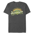 thumbnail image 1 of Men's Dungeons & Dragons St. Patrick's Day Here for the Shenanigans Dice Graphic Tee Charcoal Heather Small, 1 of 5
