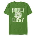 thumbnail image 1 of Men's Dungeons & Dragons St. Patrick's Day Naturally Lucky Dice Graphic Tee Kelly Green Small, 1 of 5