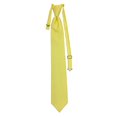 thumbnail image 1 of Men’s Elation Canary Formal Satin Pre-Tied Necktie Tie in a Variety of Colors by Spencer J’s Signature Satin Collection, 1 of 4