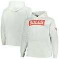 thumbnail image 1 of Men's Fanatics Ash Chicago Bulls Big & Tall Raglan Tri-Blend Pullover Hoodie, 1 of 3