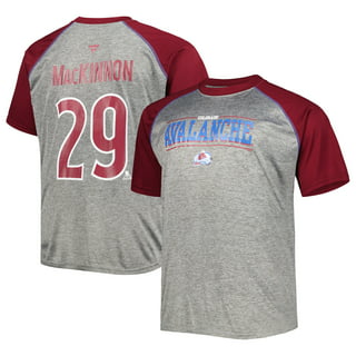 AVS Avalanche Champions Champs Cup Ladies V-Neck T-Shirt Adult Grey
