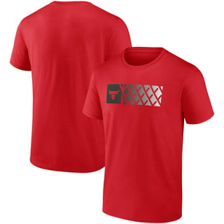 Chicago Bulls Baseball T-Shirts for Sale