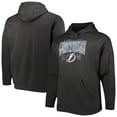 thumbnail image 1 of Men's Fanatics Heather Charcoal Tampa Bay Lightning Big & Tall Dynasty Pullover Hoodie, 1 of 3