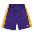 thumbnail image 1 of Men's Fanatics Purple/Gold Los Angeles Lakers Big & Tall Performance Shorts, 1 of 1