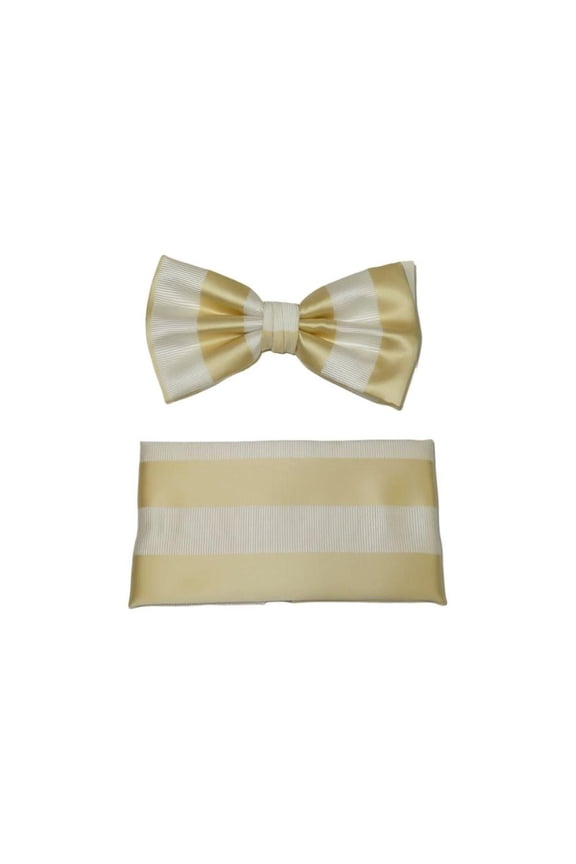 Men's Fancy Bow Tie/Hankie Set By J.Valintin Soft Microfiber Silky JVBT-30