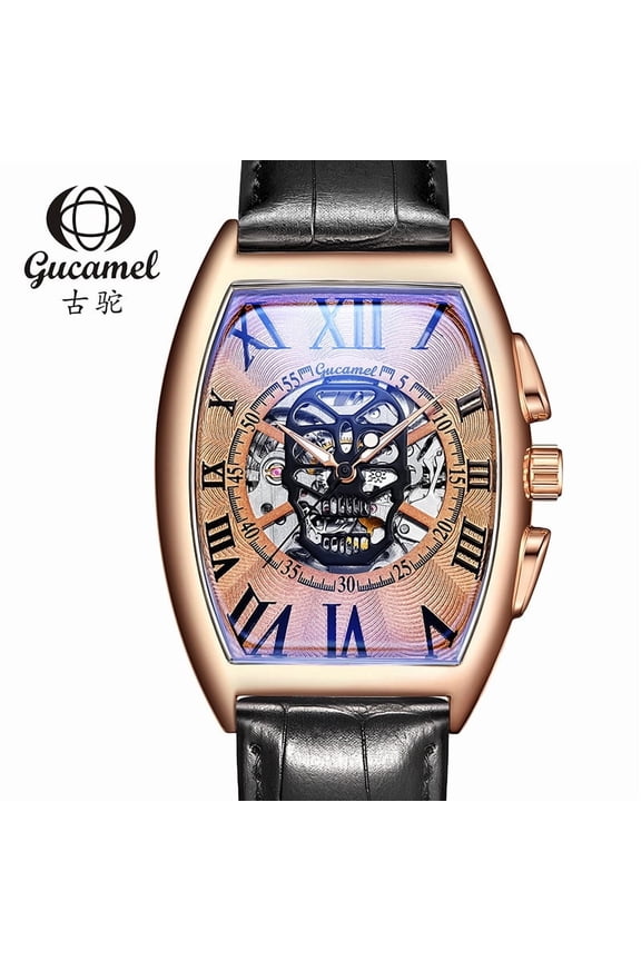 Men's Fashion Skull Hollow Automatic Mechanical Watch
