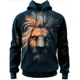 thumbnail image 1 of Men's Fashion Spring and Autumn Hoodie Graphic Lion3D Printed Hoodie Unisex Harajuku Street Leisure Sports Hoodie, 1 of 10