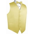 thumbnail image 1 of Best Tuxedo Men's Formal, Tuxedo, Wedding, Prom, Cruise Vest, Bow-Tie & Hankie Set in Canary - 6XL, 1 of 3