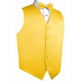 thumbnail image 1 of Best Tuxedo Men's Formal, Tuxedo, Wedding, Prom, Cruise Vest, Bow-Tie & Hankie Set in Gold - XS, 1 of 3