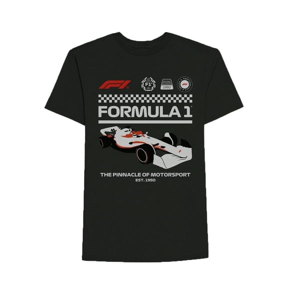 Men's Formula 1 F1 Black Graphic T-Shirt - Large