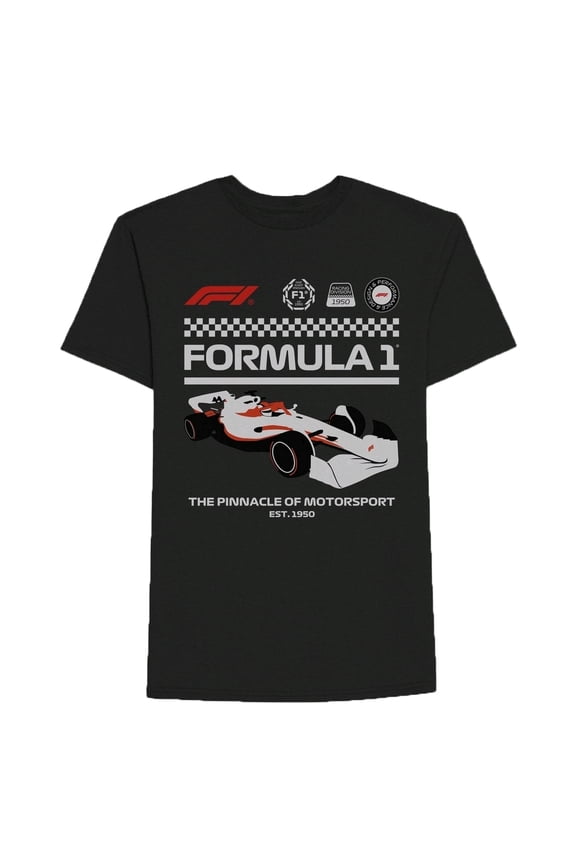 Men's Formula 1 F1 Black Graphic T-Shirt - Medium