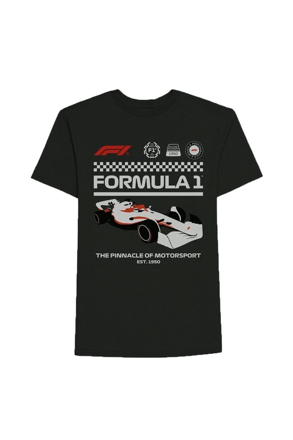 Men's Formula 1 F1 Black Graphic T-Shirt - Small