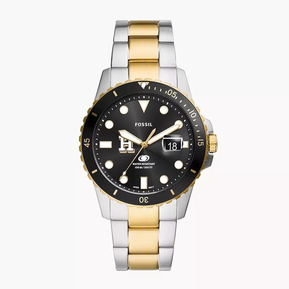 Men's Fossil Silver Hamilton Continentals Blue Dive Three-Hand Date Two-Tone Stainless Steel Watch