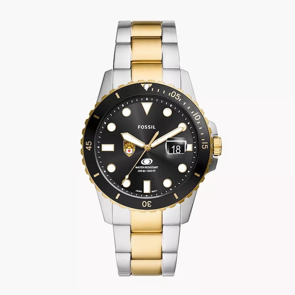 Men's Fossil  Silver Lehigh Mountain Hawks Blue Dive Three-Hand Date Two-Tone Stainless Steel Watch