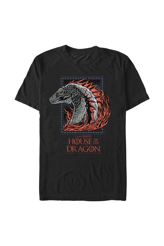 Men's Game of Thrones: House of the Dragon Fire Dragon Portrait Graphic Tee Black 3X Large