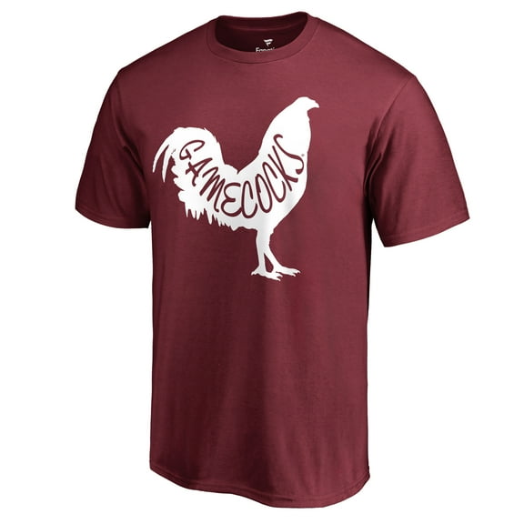 Men's Garnet South Carolina Gamecocks DNA T-Shirt