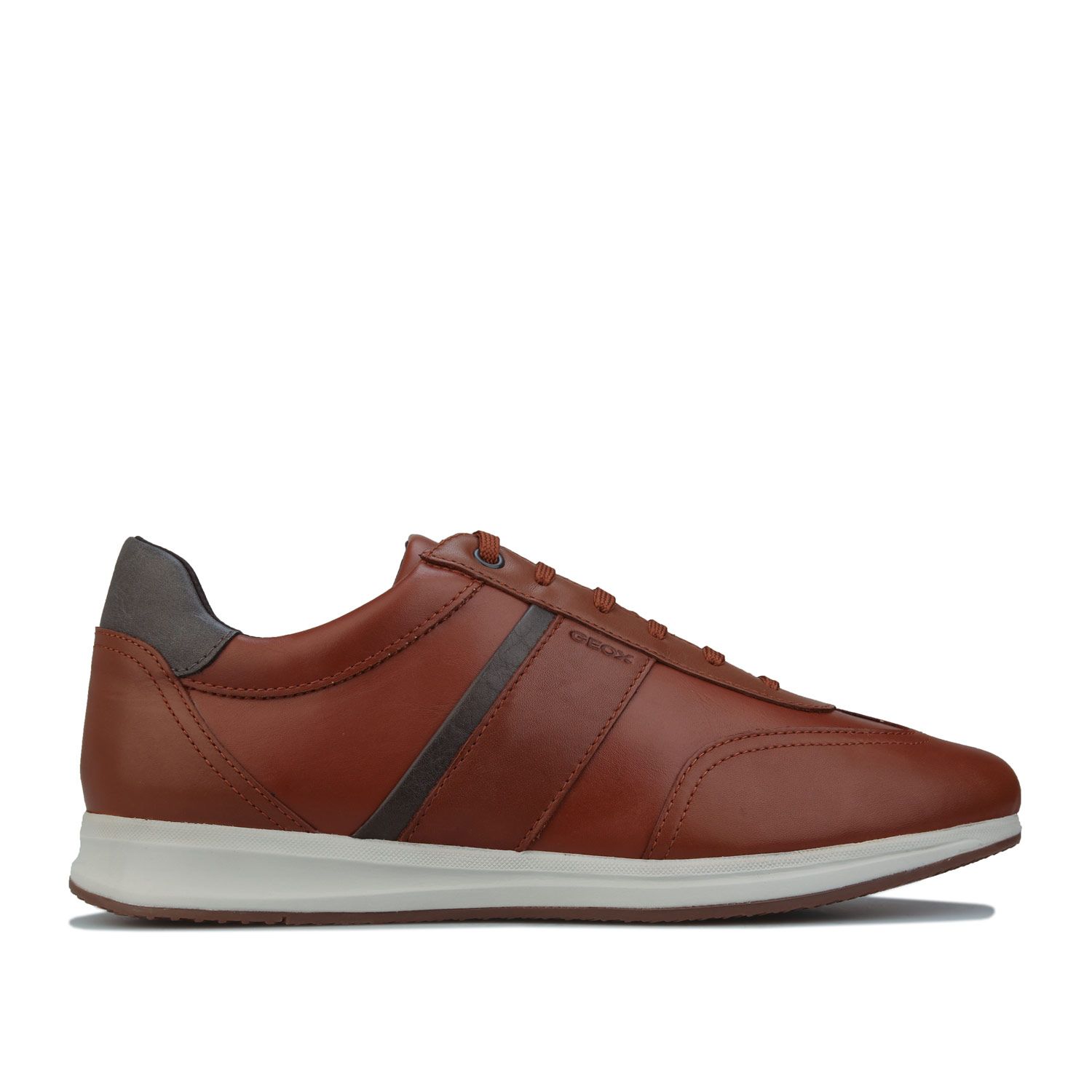 Men s Geox U Avery Sneakers in Brown Walmart