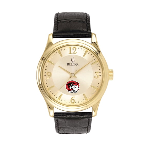 Men's Gold Winston-Salem State Rams Gold-Tone Stainless Steel Leather Band Watch