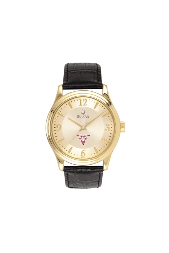 Men's Gold Worcester Polytechnic Institute Engineers Stainless Steel Watch with Leather Band
