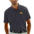 thumbnail image 1 of Men's Gray Iowa Hawkeyes Textured Stripe Polo, 1 of 1